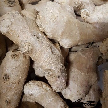 Image of Raw Ginger Root