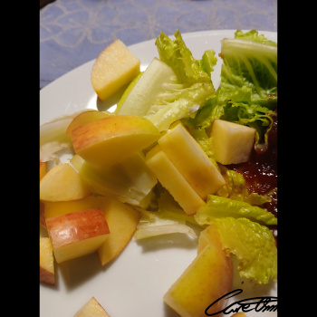 Image of Apple Salad (With Dressing) that contains paullinic acid (20:1)